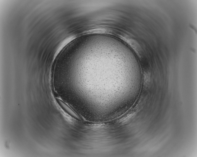 X0000098011426200804111222