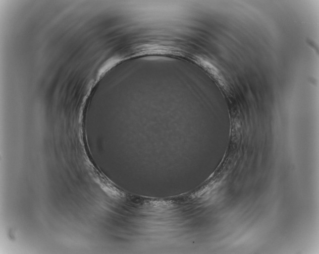 X0000098011427200804111222