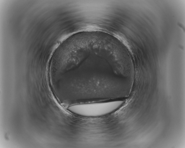 X0000098011429200804111222