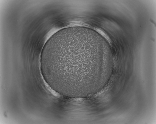 X0000098011431200804111222