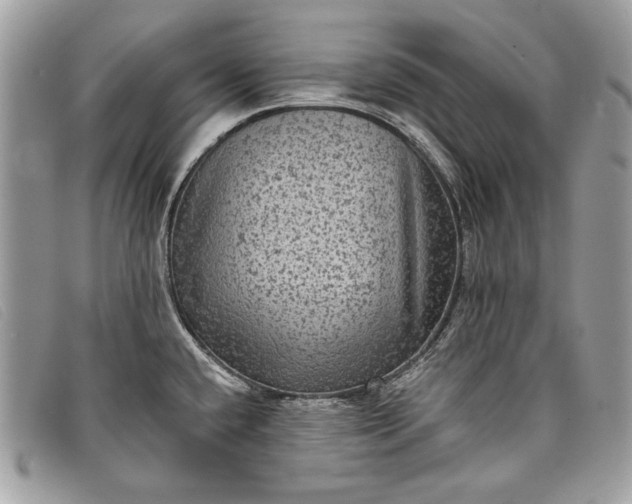 X0000098011432200804111222