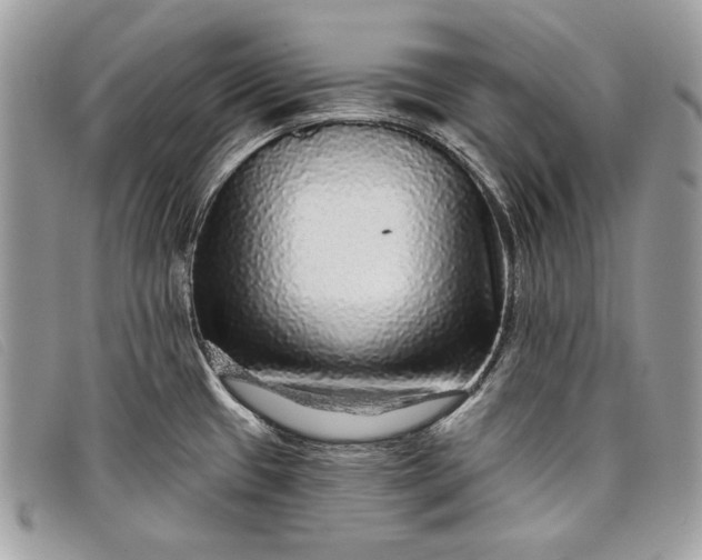 X0000098011433200804111222