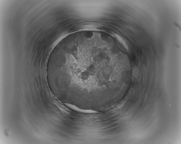 X0000098011435200804111222