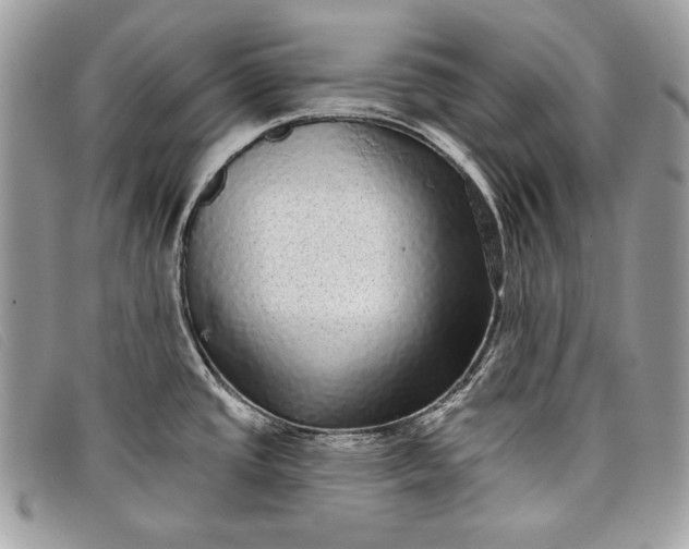 X0000098011437200804111222