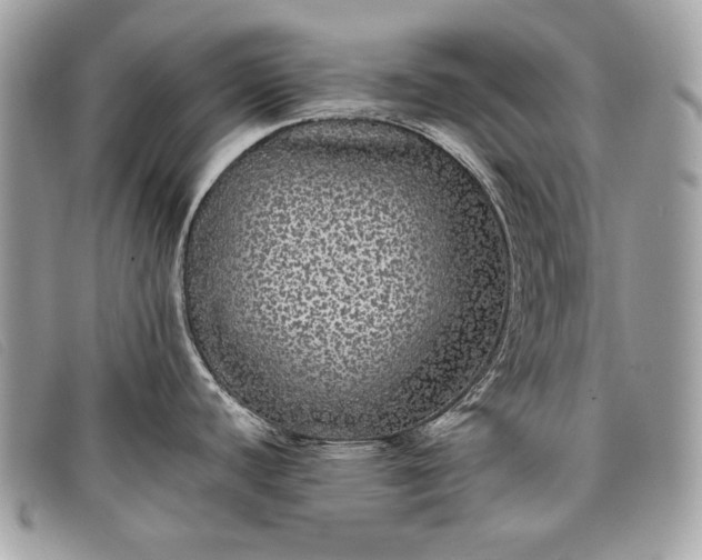 X0000098011440200804111222