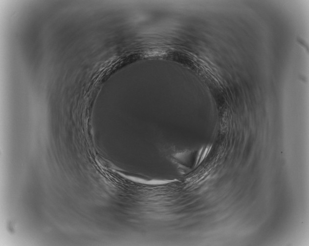 X0000098011441200804111221