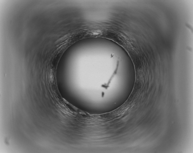 X0000098011442200804111221