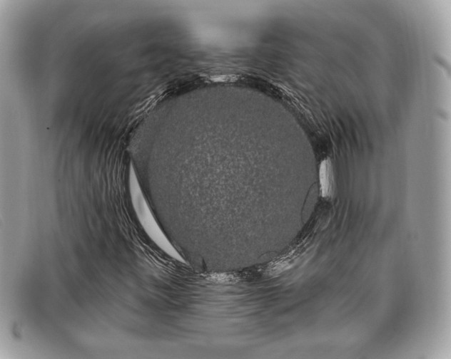 X0000098011443200804111221