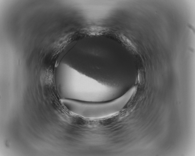 X0000098011444200804111221