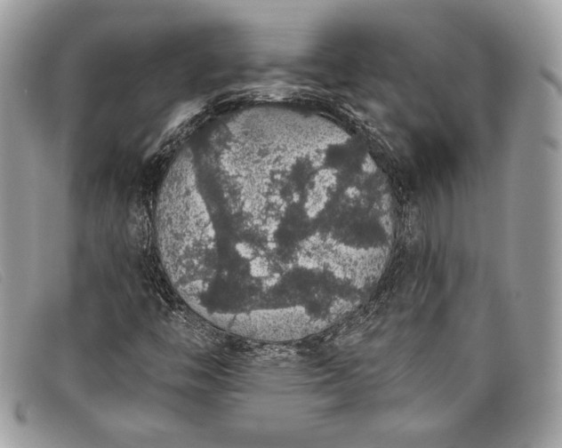 X0000098011446200804111221