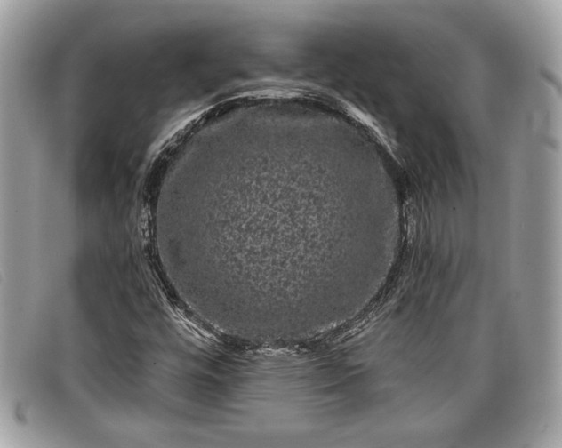 X0000098011448200804111221