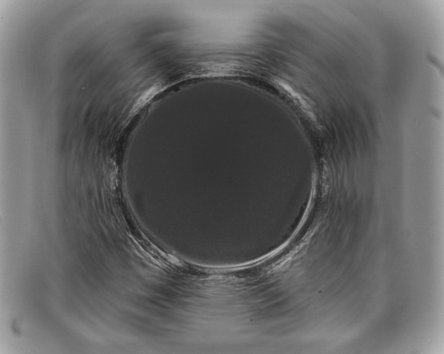 X0000098011449200804111221