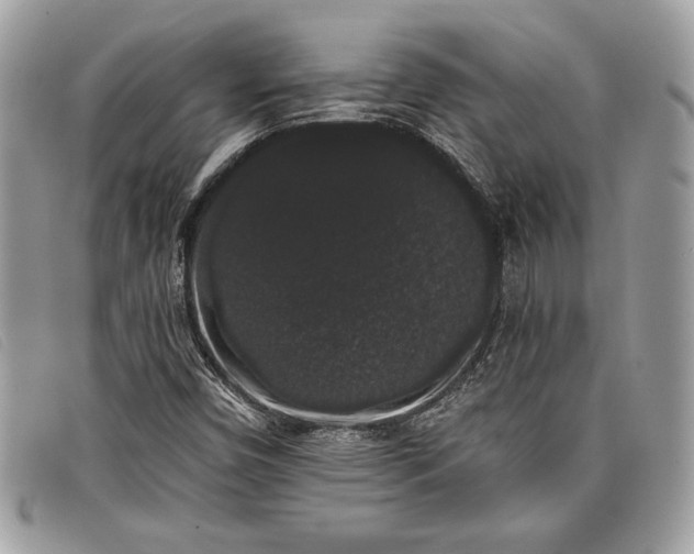 X0000098011450200804111221