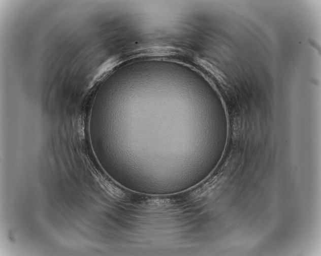 X0000098011451200804111221