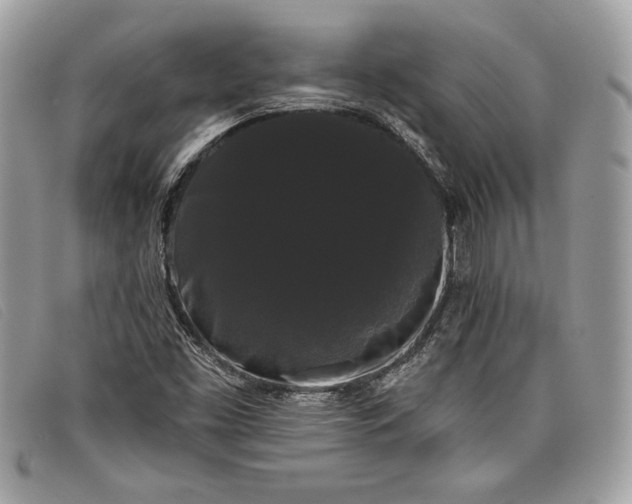 X0000098011453200804111221