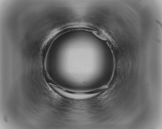 X0000098011456200804111221