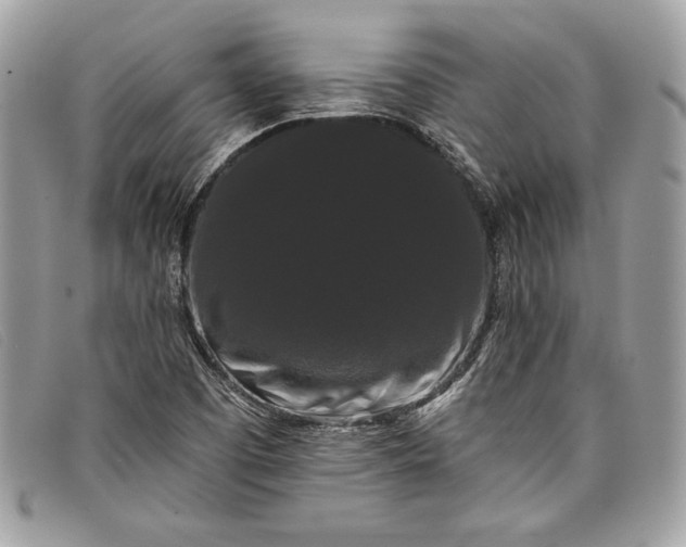 X0000098011457200804111221