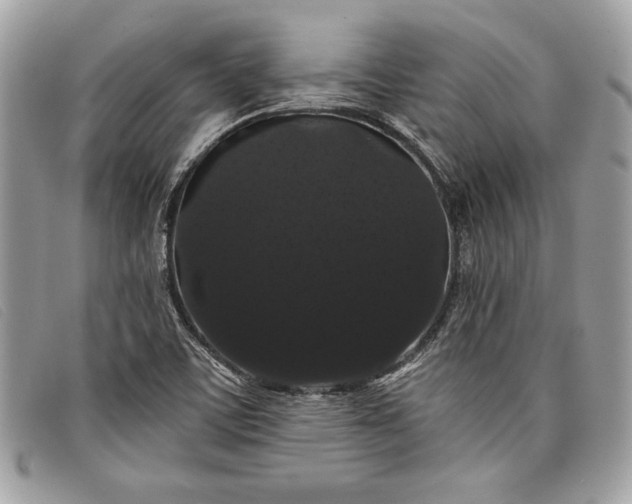 X0000098011459200804111221