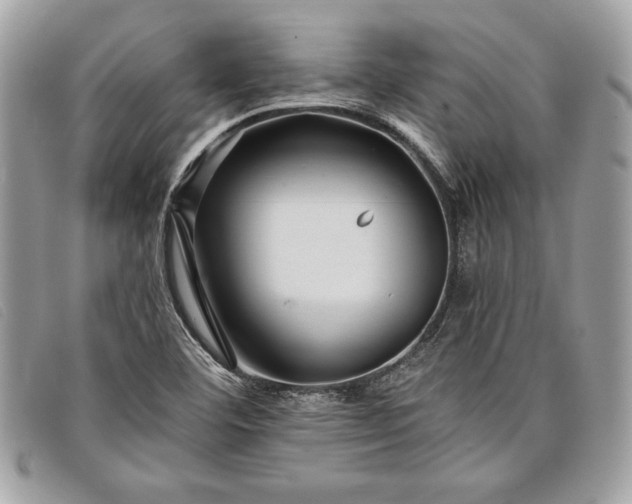 X0000098011460200804111221