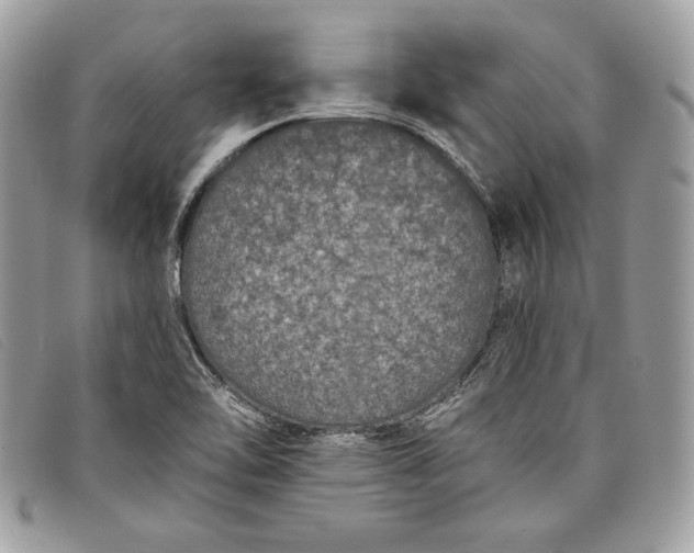 X0000098011462200804111221