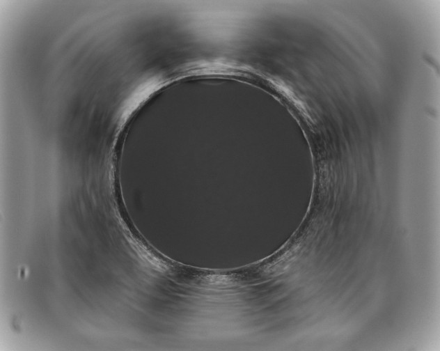 X0000098011463200804111221