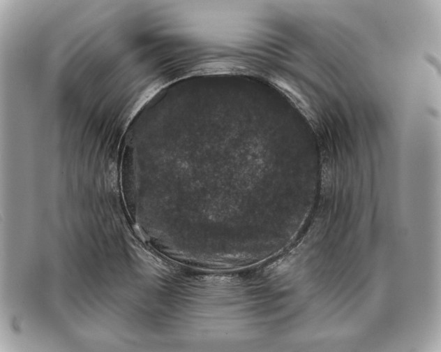 X0000098011465200804111221