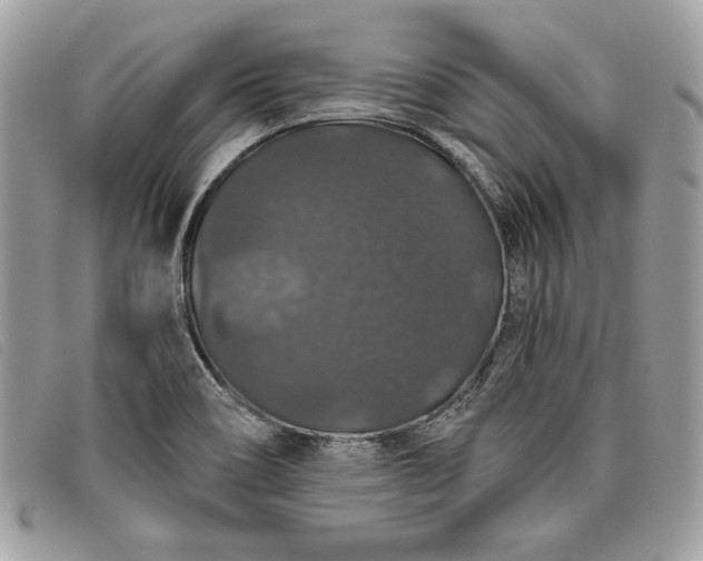 X0000098011466200804111221