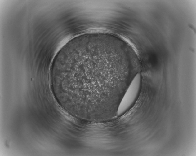 X0000098011467200804111221