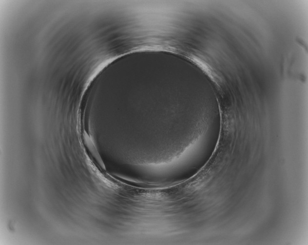 X0000098011468200804111221