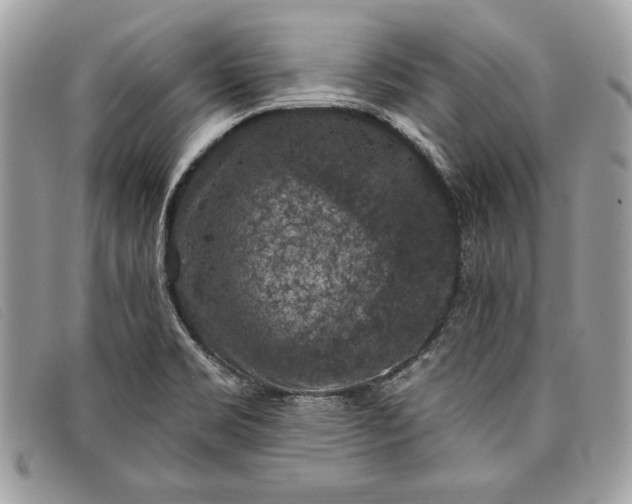 X0000098011469200804111221