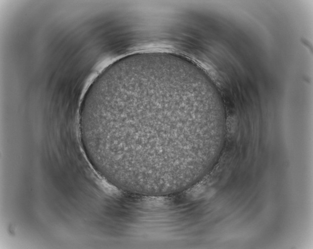 X0000098011470200804111221