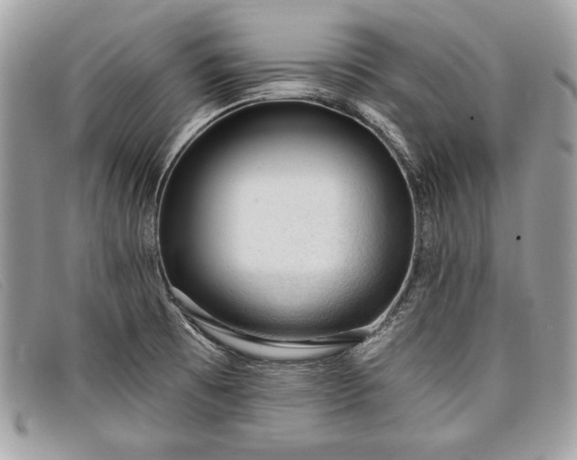 X0000098011473200804111221