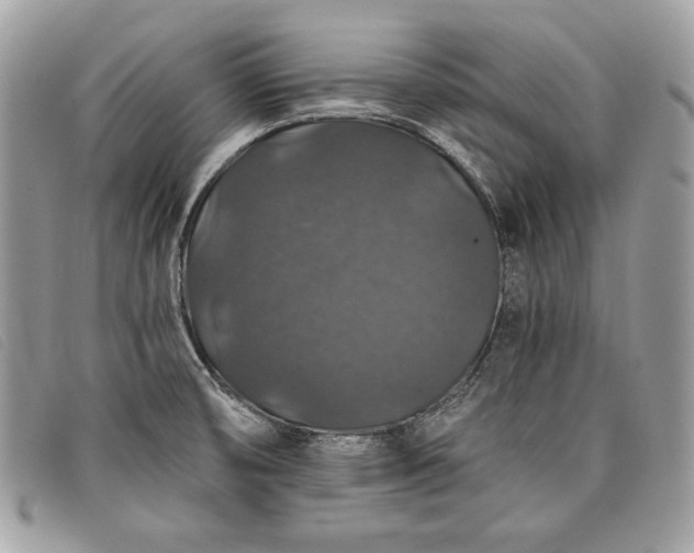 X0000098011474200804111221