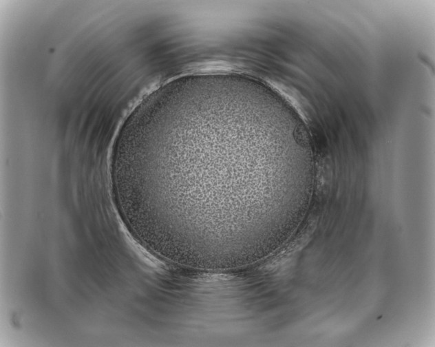 X0000098011475200804111221