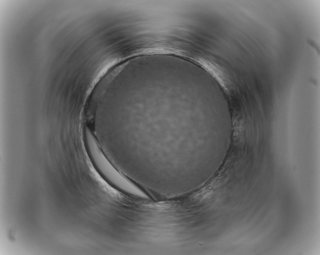 X0000098011476200804111221