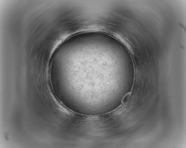 X0000098011477200804111221