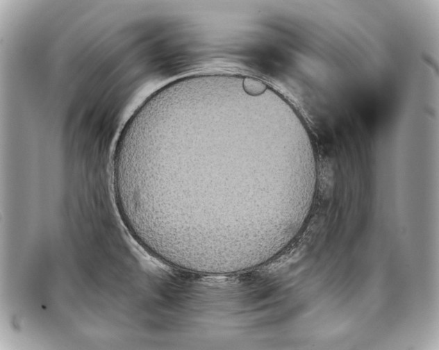 X0000098011478200804111221