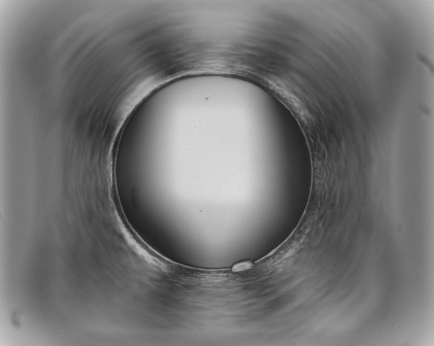 X0000098011479200804111221