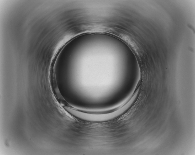 X0000098011480200804111221