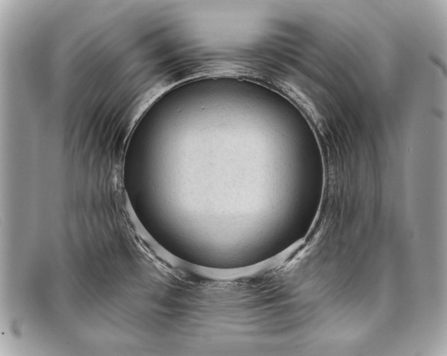 X0000098011481200804111221