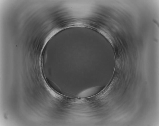 X0000098011482200804111221