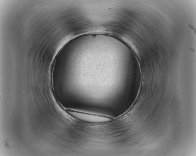 X0000098011483200804111221