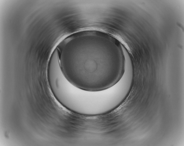 X0000098011484200804111221