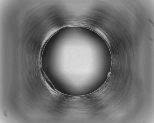 X0000098011485200804111221