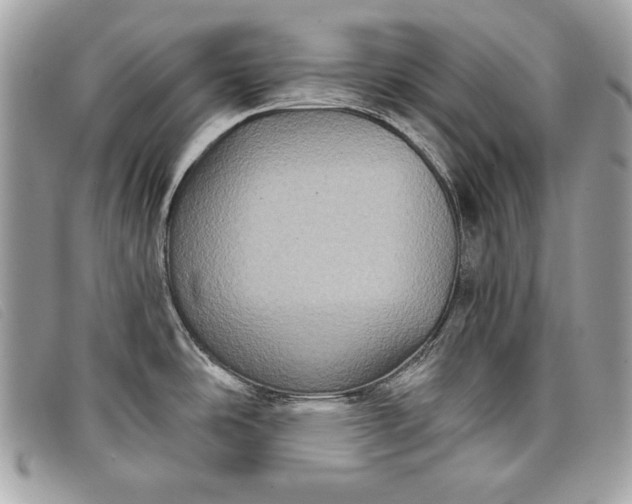 X0000098011486200804111221