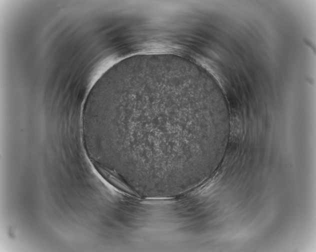 X0000098011487200804111221