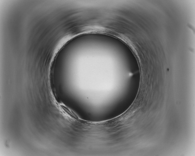 X0000098011488200804111221