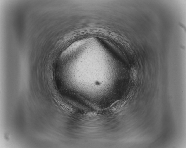 X0000098011489200804111220