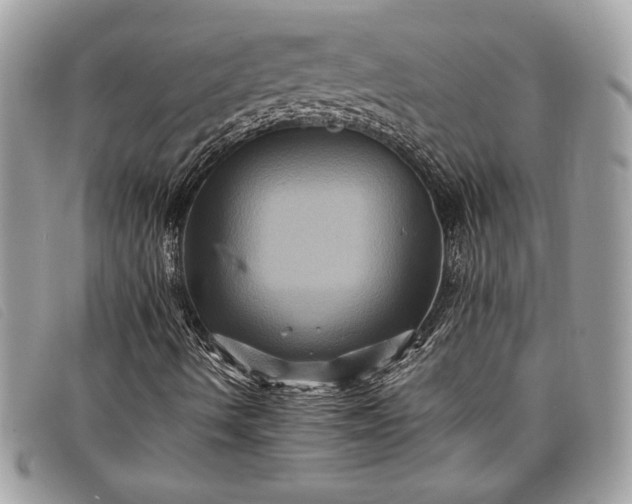 X0000098011490200804111220