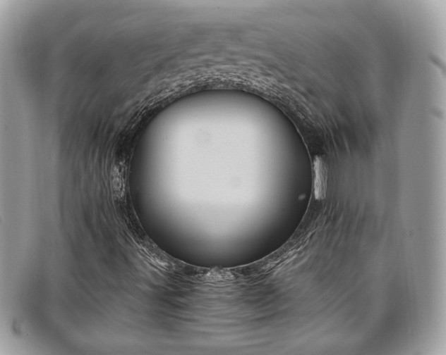 X0000098011491200804111220